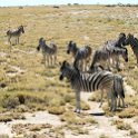 NAM OSHI Etosha 2016NOV27 075 : 2016, 2016 - African Adventures, Africa, Date, Etosha National Park, Month, Namibia, November, Oshikoto, Places, Southern, Trips, Year